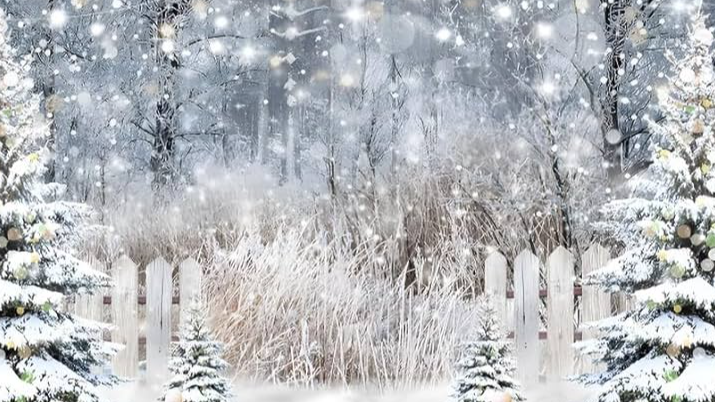 Picture for: Winter Wonderland - hosted by ECFE