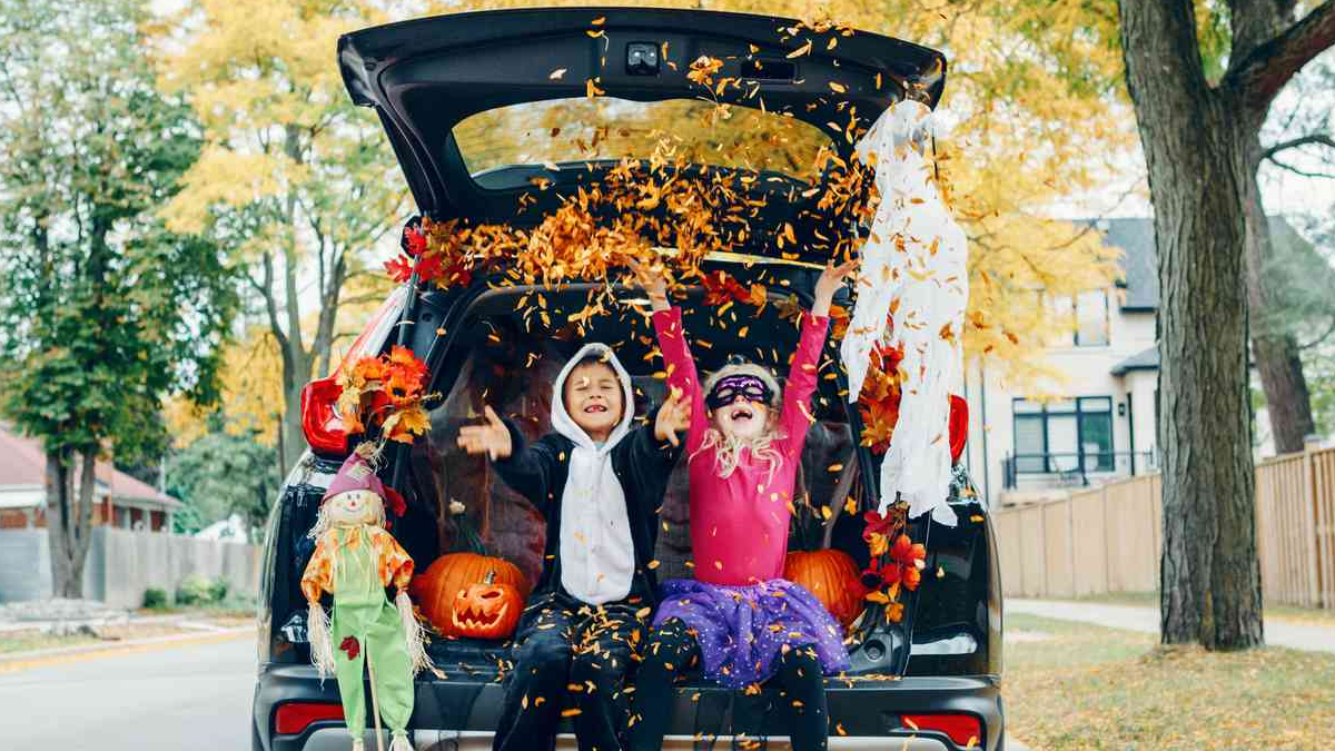Picture for: ECFE's Trunk or Treat