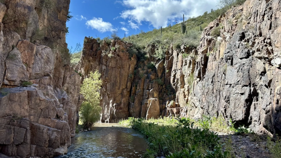 Picture for: Aravaipa Backcountry Trek