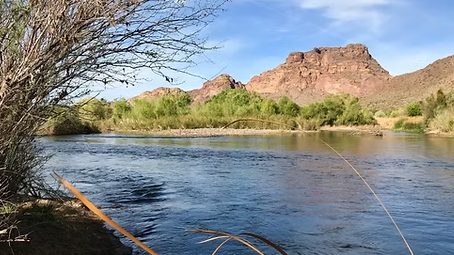 Picture for: Sonoran Waterways