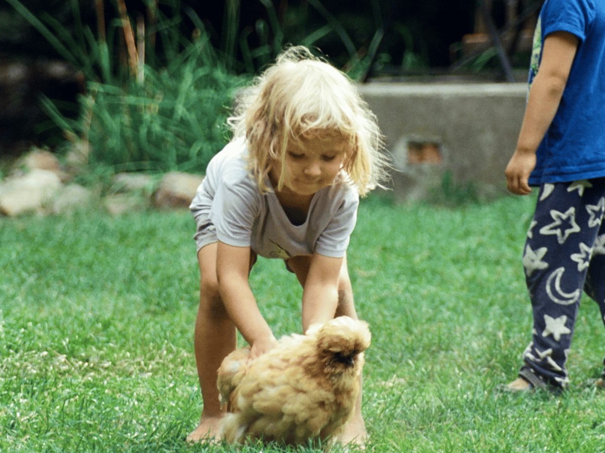 Picture for: Preschool - A Week on the Farm