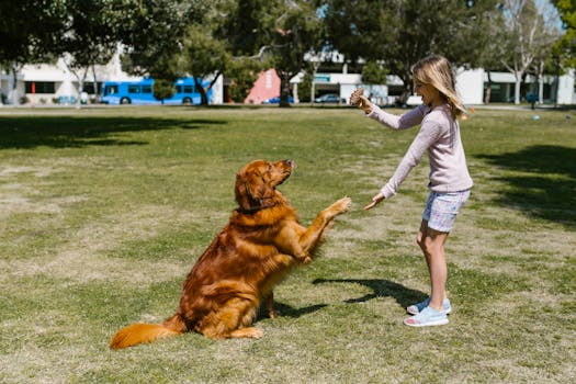 Picture for: Dog Camp