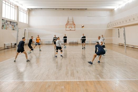 Picture for: Adult Volleyball League