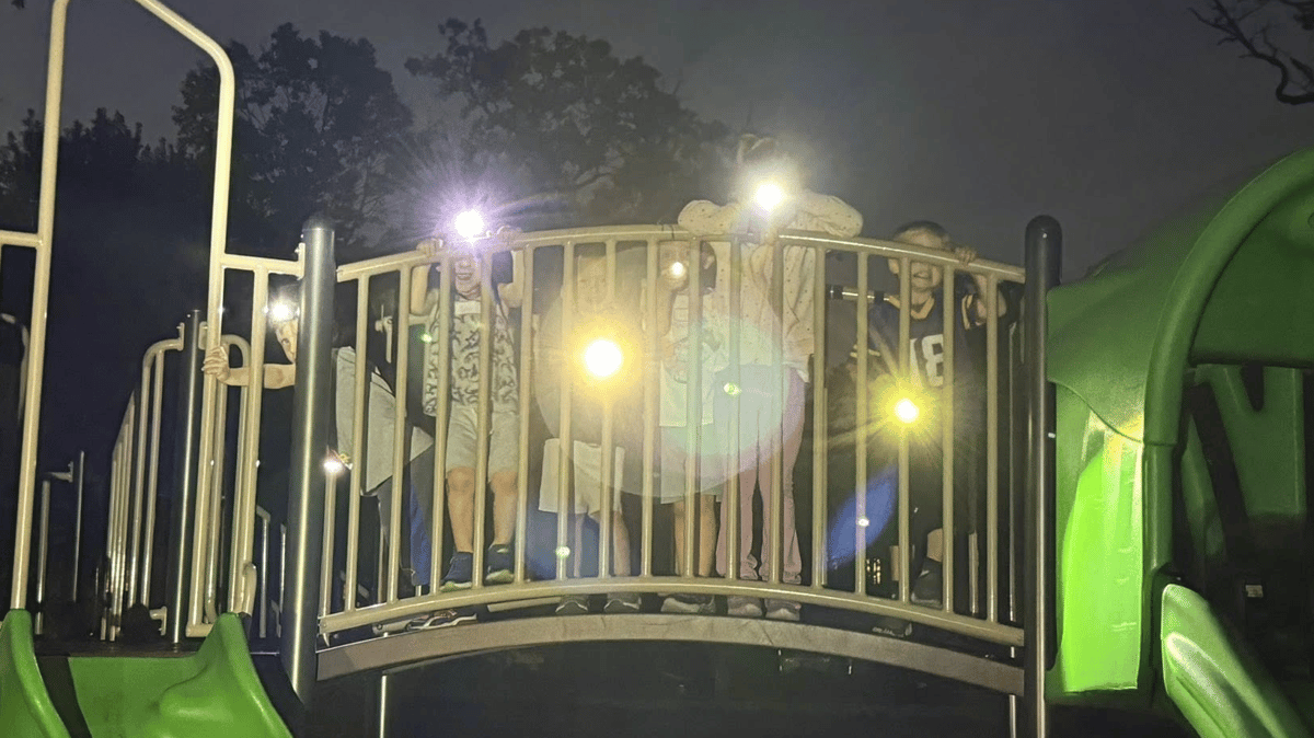 Picture for: Fall Flashlight Night