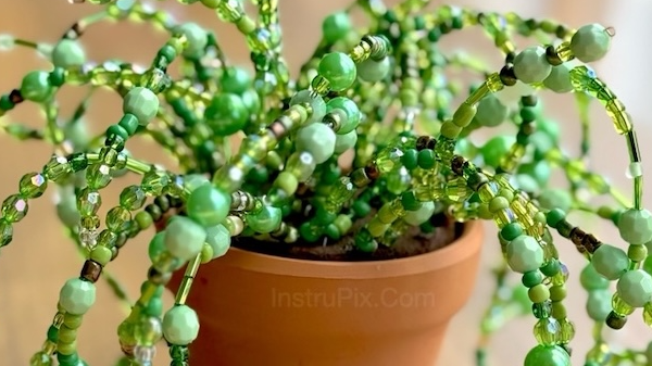 Picture for: Mini Beaded Plants