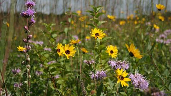 Picture for: White Water State Park