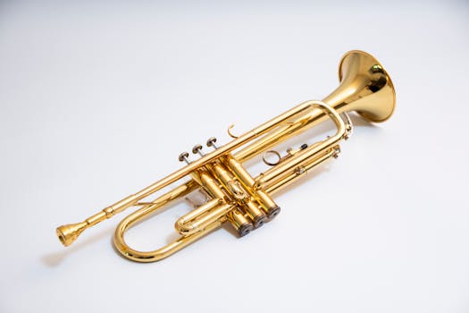 Picture for: Annandale Community Band
