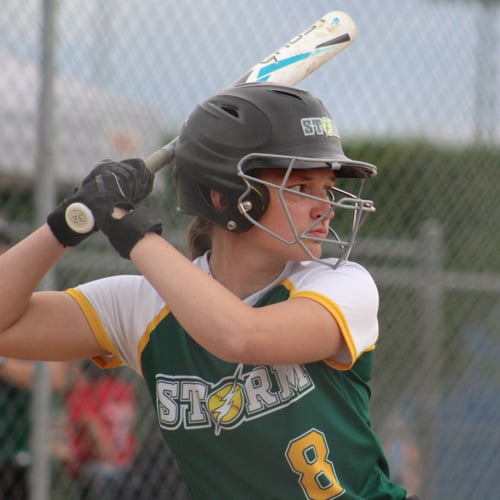 Picture for: Baseball/Softball
