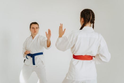 Picture for: Karate Class