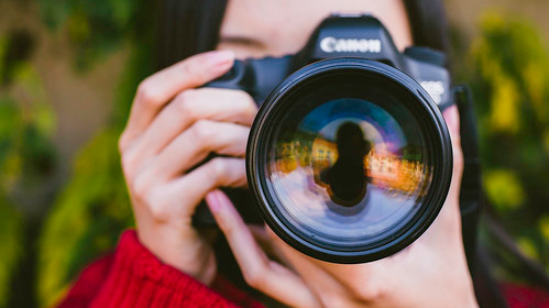 Picture for: Understanding Your Digital Camera