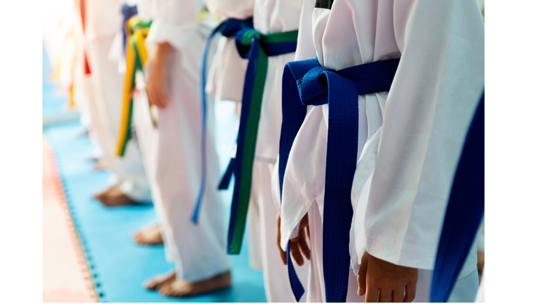 Picture for: Kung Fu: Purple-Black Belt (ages 5-adult)