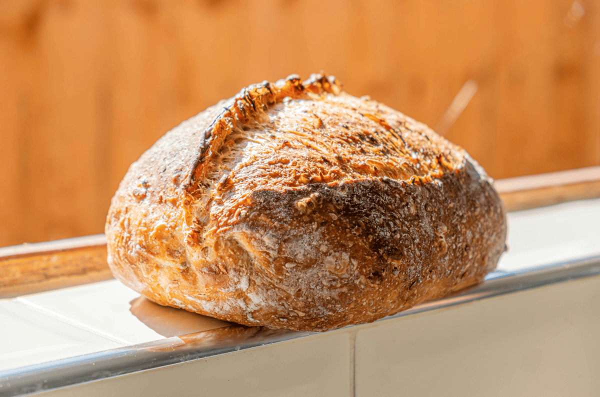 Picture for: Sourdough Baking 101: From Starter to Artisan Loaf