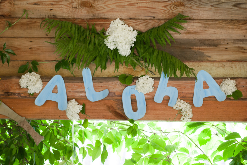 Picture for: ECFE Family Picnic