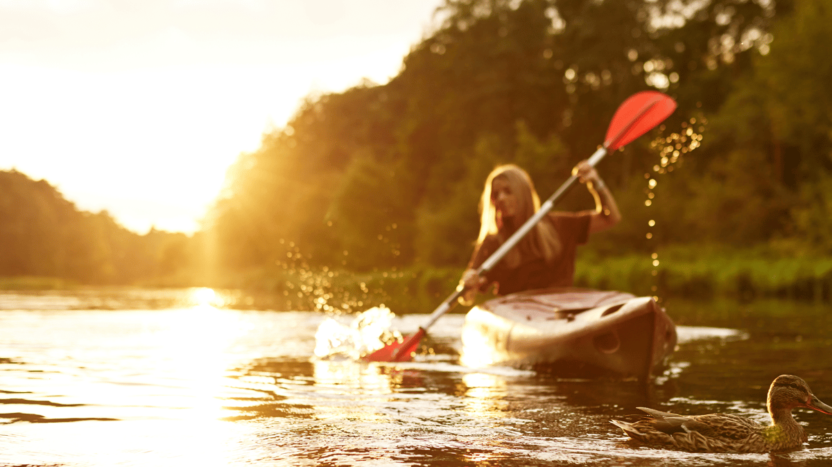 Picture for: Kayak 101