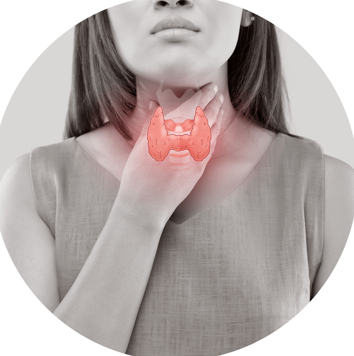 Picture for: Thyroid Things You Need to Know (Online)