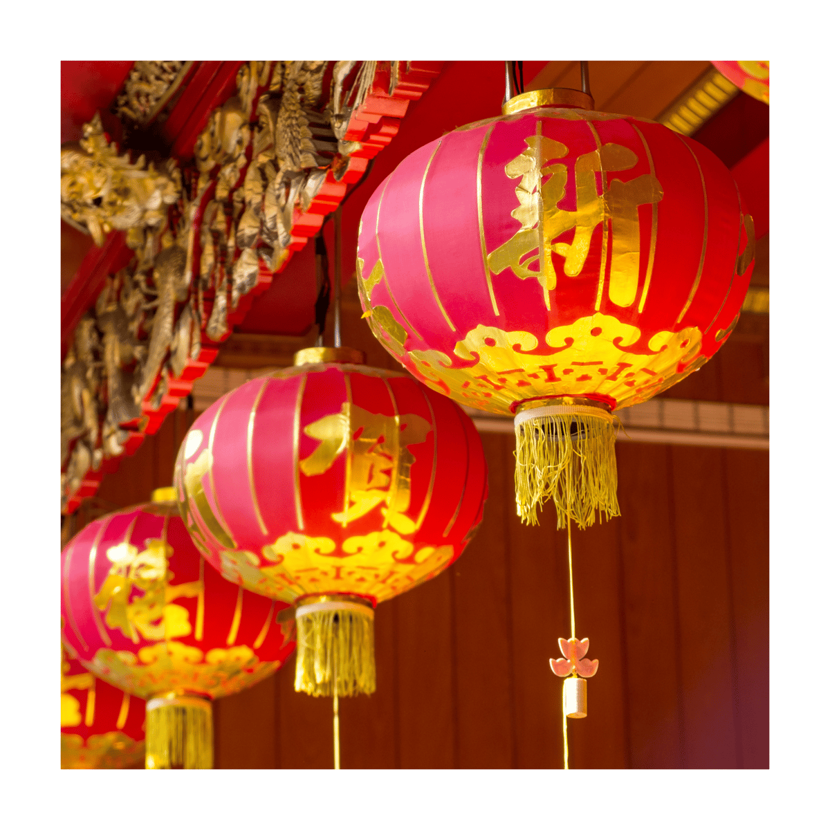 Picture for: Chinese 101