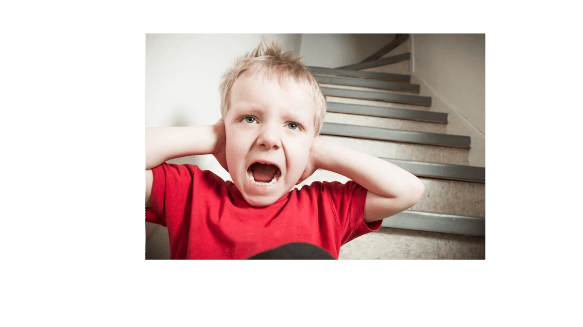 Picture for: Parent Seminar- Responding to Challenging Behaviors at Home- Virtual Seminar ( Available till June 1st)