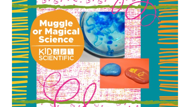 Picture for: Muggle or Magical Science