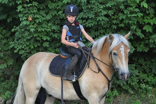 Picture for: Horsin' Around Ages 8-15