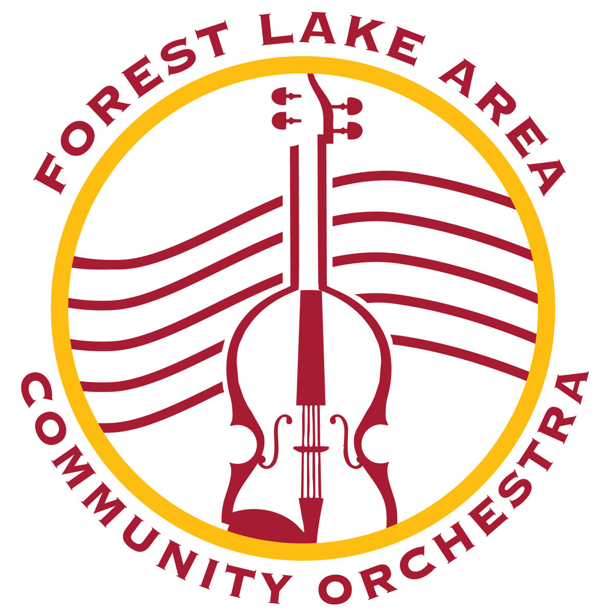 Picture for: Forest Lake Area Community Orchestra Age 15-Adult