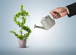 Picture for: Learn the Basics of Investing