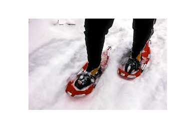 Picture for: Introduction to Snowshoeing