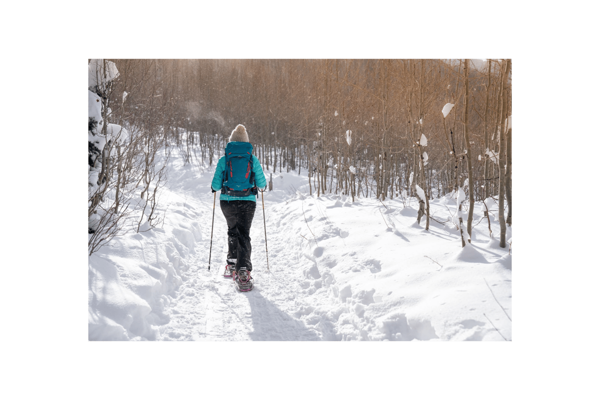 Picture for: Introduction to Snowshoeing
