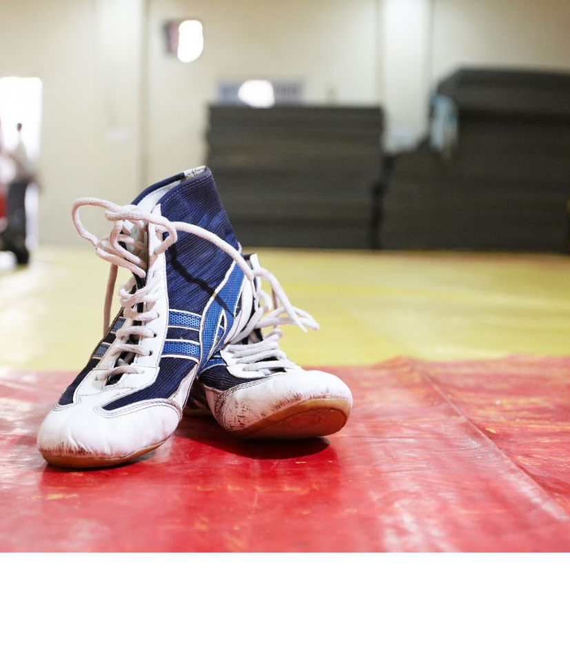 Picture for: Two Rivers Youth Co-ed Wrestling Team (Ages: 7-12)