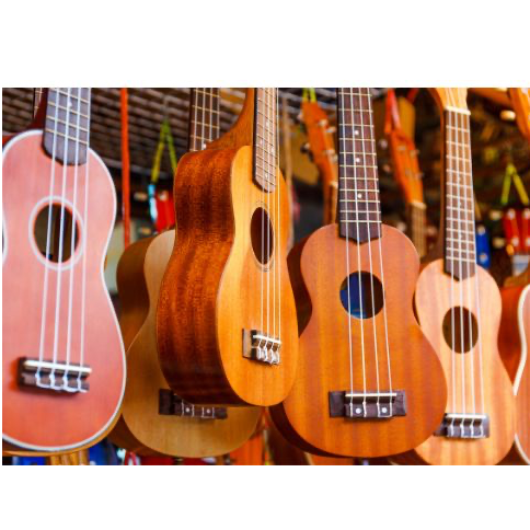 Picture for: Pilot Knob: Beginning Ukulele with Mr. Oppenheim (Grades: 2-4)