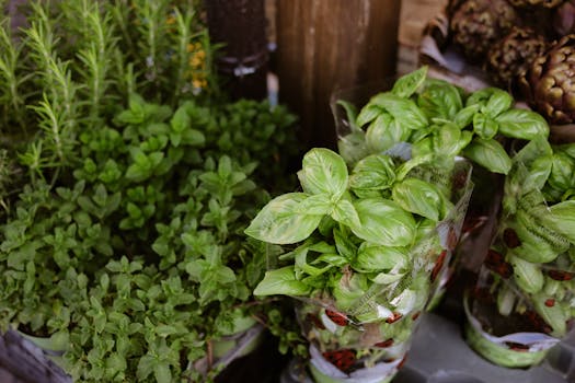 Picture for: Vitamins & Herbs: Facts and Fallacies (Online)