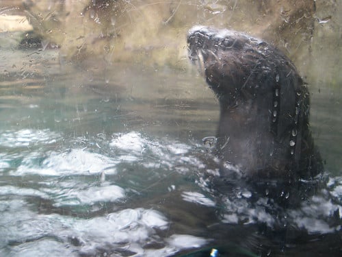 Picture for: Minnesota Zoo