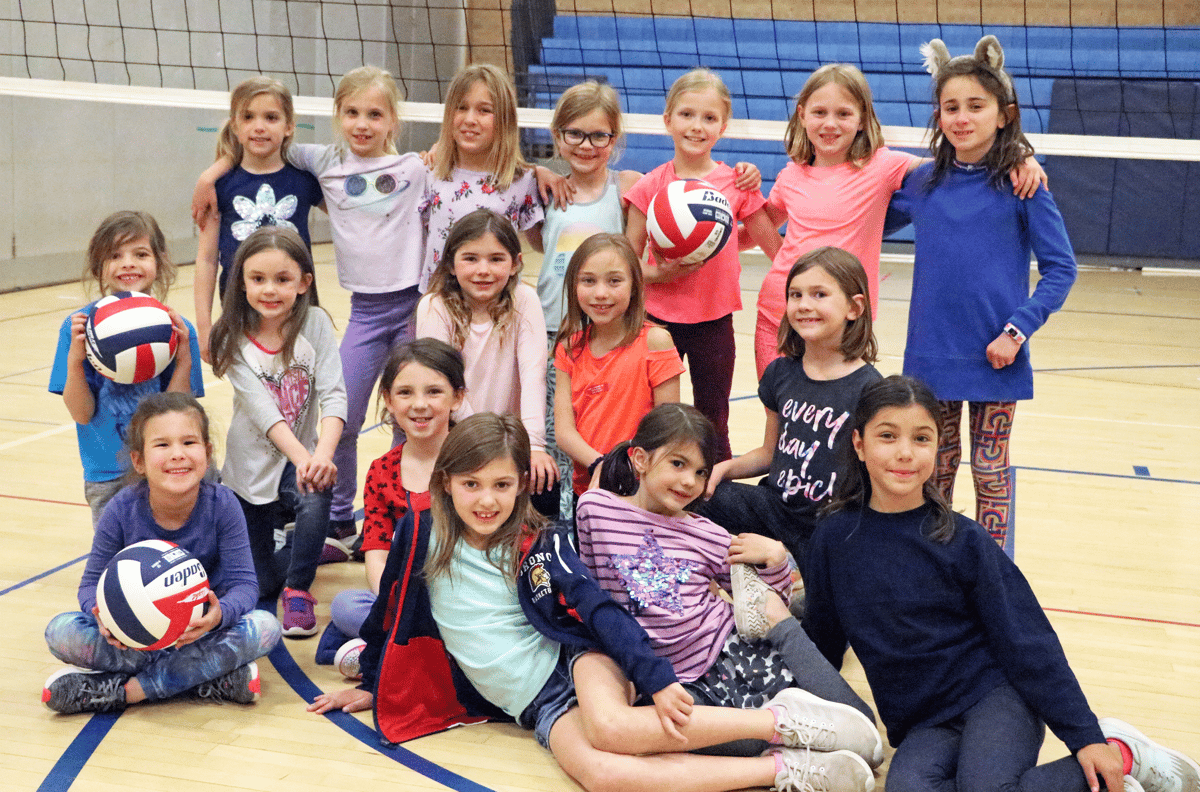 Picture for: Volleyball Skills