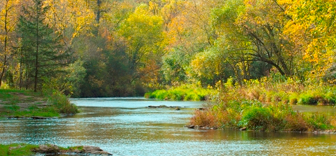 Picture for: Intro to Trout Fishing - Live on the Stream