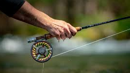 Picture for: Intro to Trout Fishing - Live on the Stream