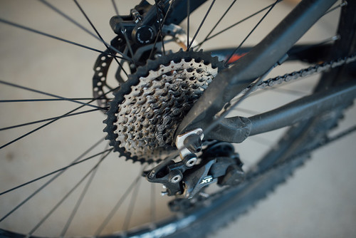 Picture for: Mountain Biking Skills