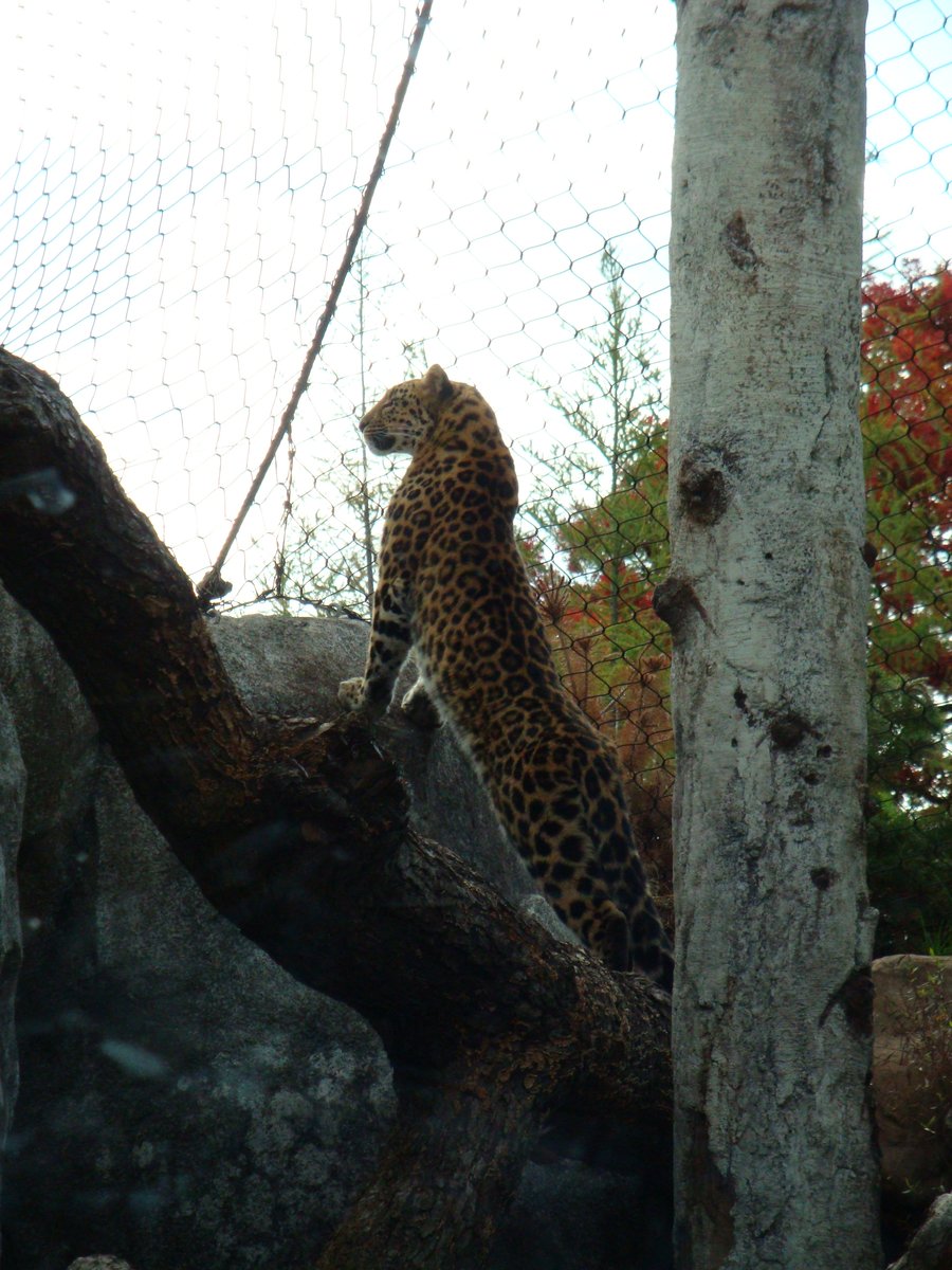 Picture for: Minnesota Zoo