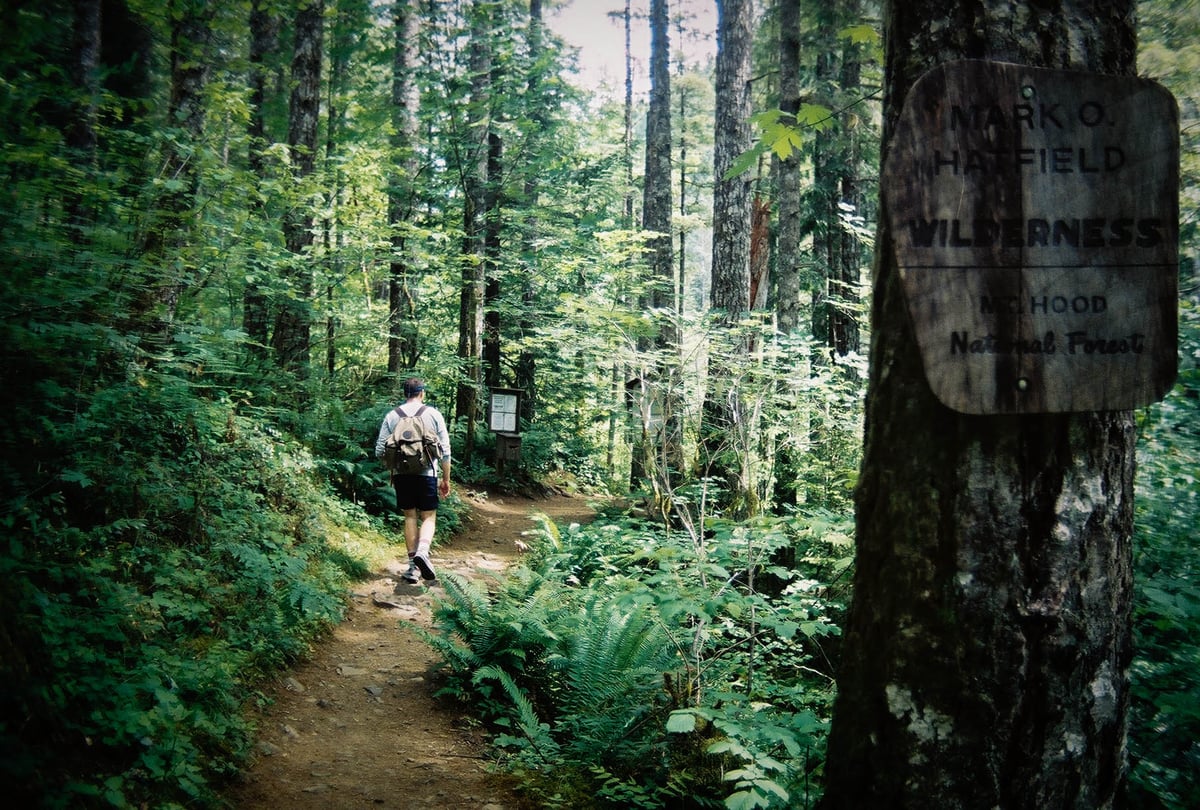 Picture for: Explore & Restore: An Outdoor Adventure!