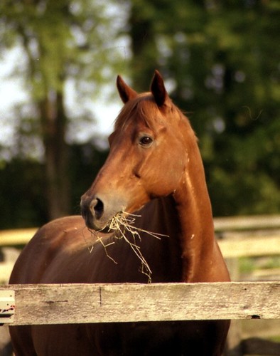 Picture for: Day Camp at Skyrock