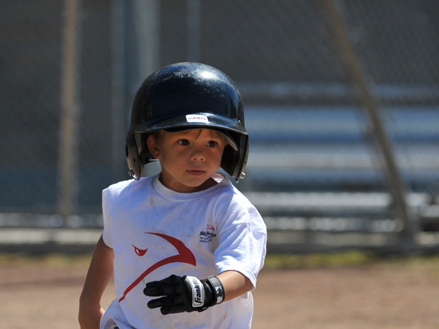 Picture for: Mini-Hawk T-Ball (Ages 5-6)