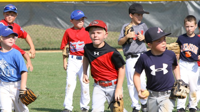 Picture for: Baseball Camp (Ages 6-12)