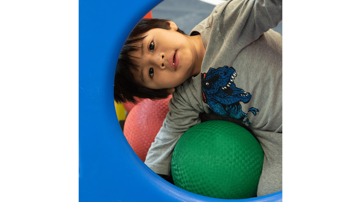 Picture for: Family Gym