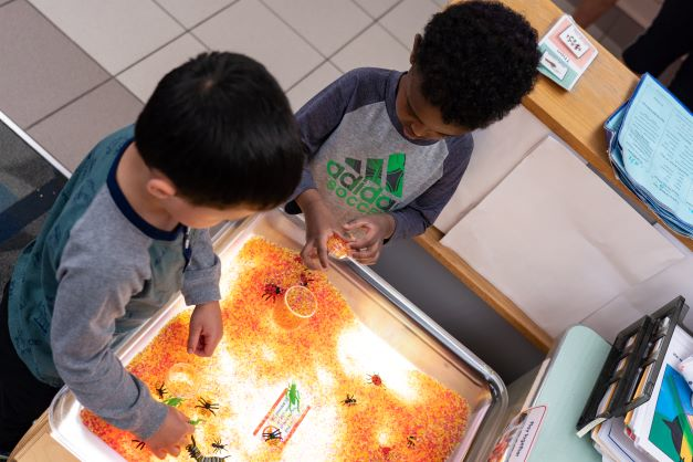 Picture for: ECFE Preschool