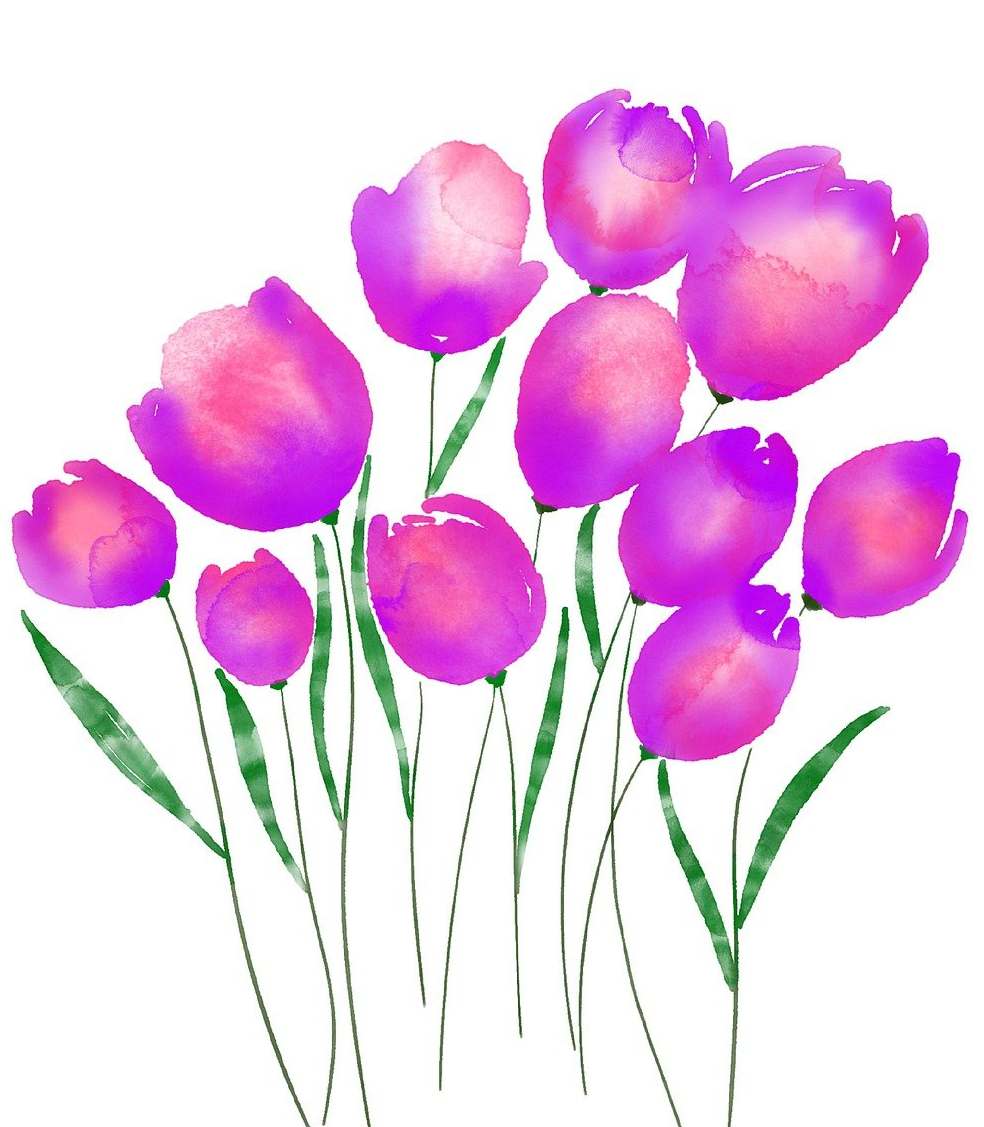 Picture for: Spring Blooms