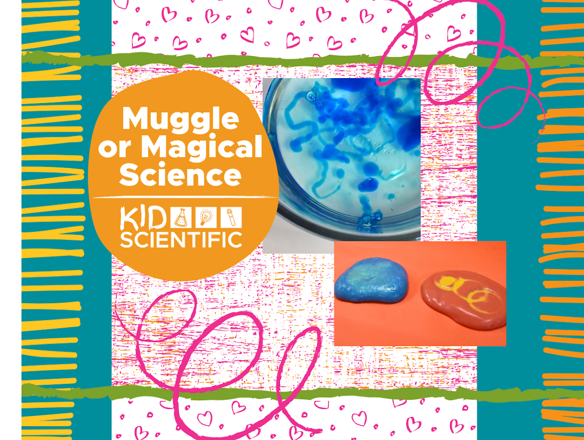Picture for: Muggle or Magical Science Ages 5-12