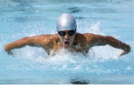 Picture for: Shark 1 Level 4 Stroke Improvement Aquatics