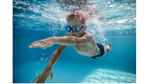 Picture for: Dolphin 1 Level 2 Aquatics