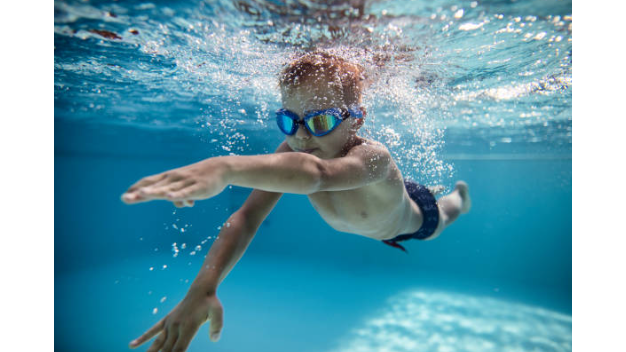 Picture for: Dolphin 2 Level 3 Aquatics