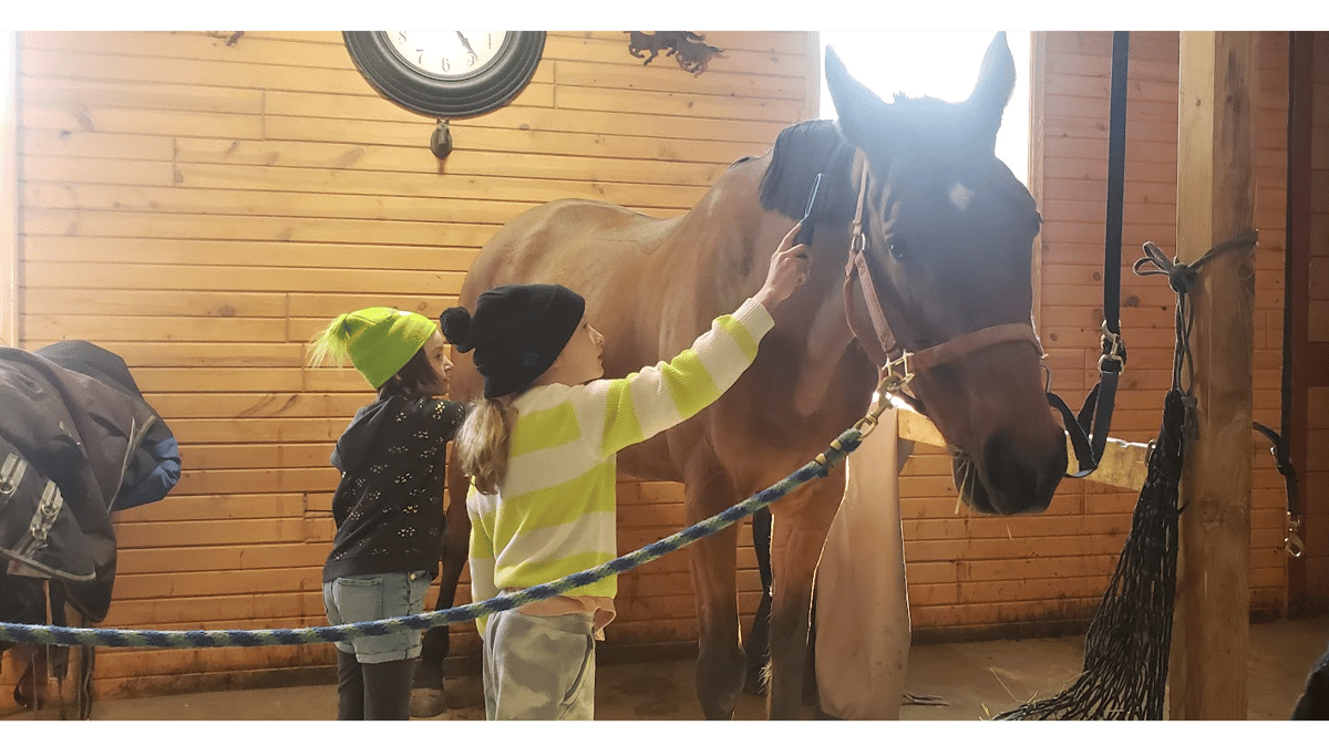 Picture for: Horse Camp Ages 2-5 yrs.
