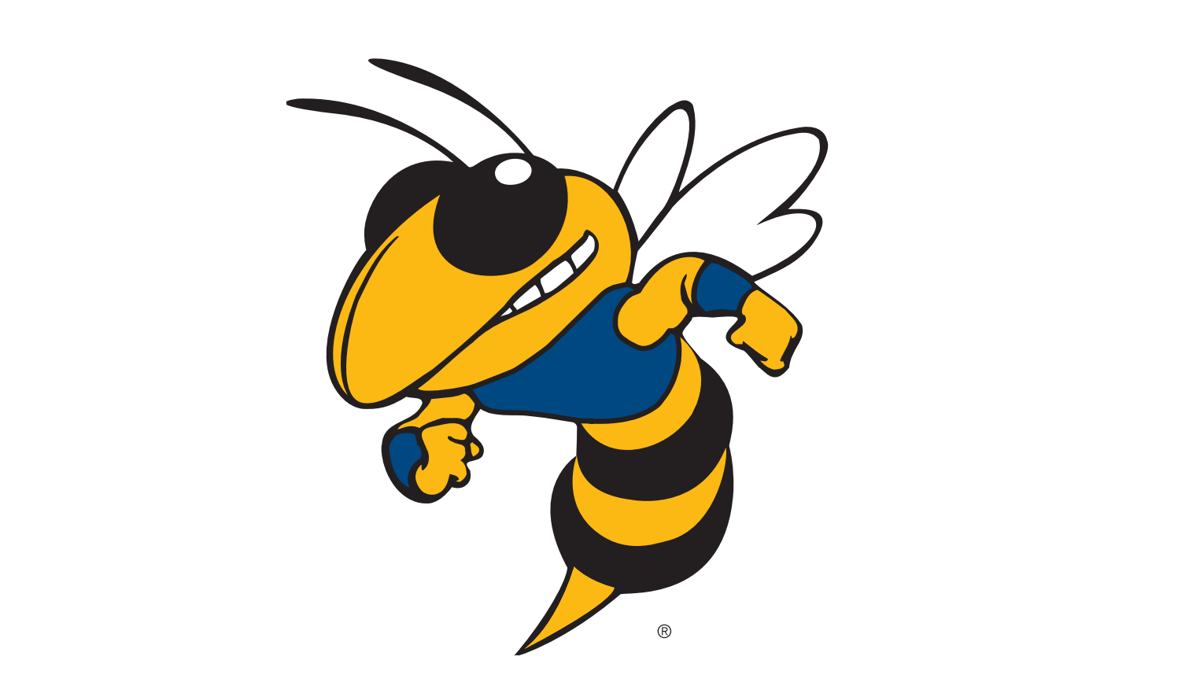 Picture for: Bee Adventurous - Amazing Cruise Ship Races