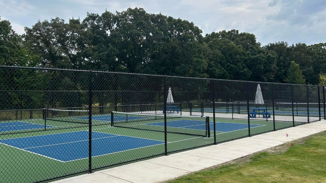 Picture for: Pickleball Fundamentals 101 with Nitty Gritty Pickleball